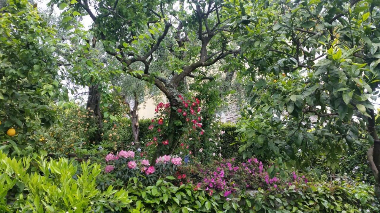 בורגו א בוג'יאנו Residenza Buggiano Antica B&B - Charme Apartment In Tuscany מראה חיצוני תמונה