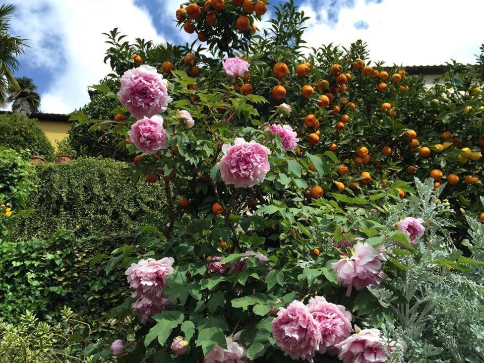 בורגו א בוג'יאנו Residenza Buggiano Antica B&B - Charme Apartment In Tuscany מראה חיצוני תמונה